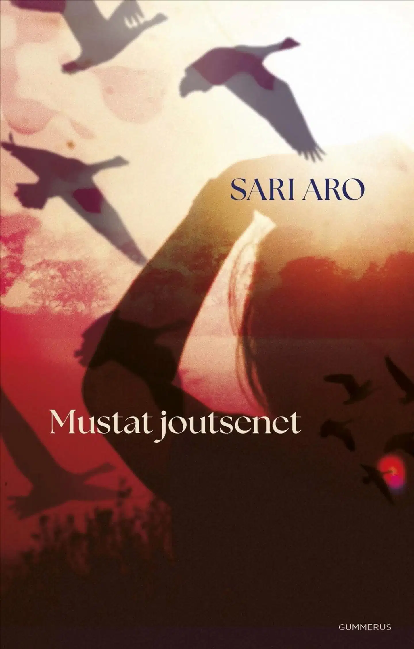 Aro, Mustat joutsenet