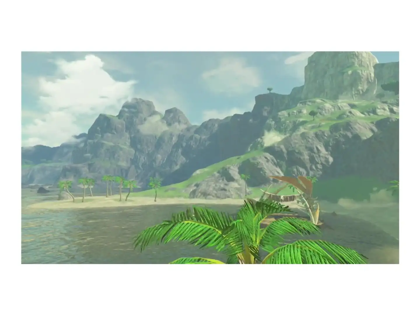Nintendo Switch The Legend of Zelda: Breath of the Wild - 10