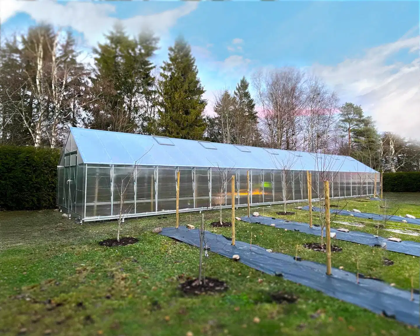 Ecoslider kasvihuone DD 4.0 X 16.81 - 6