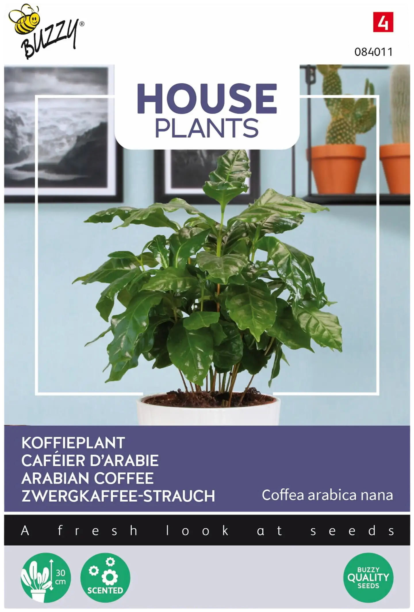 Buzzy® House Plants Coffea arabica, arabiankahvi