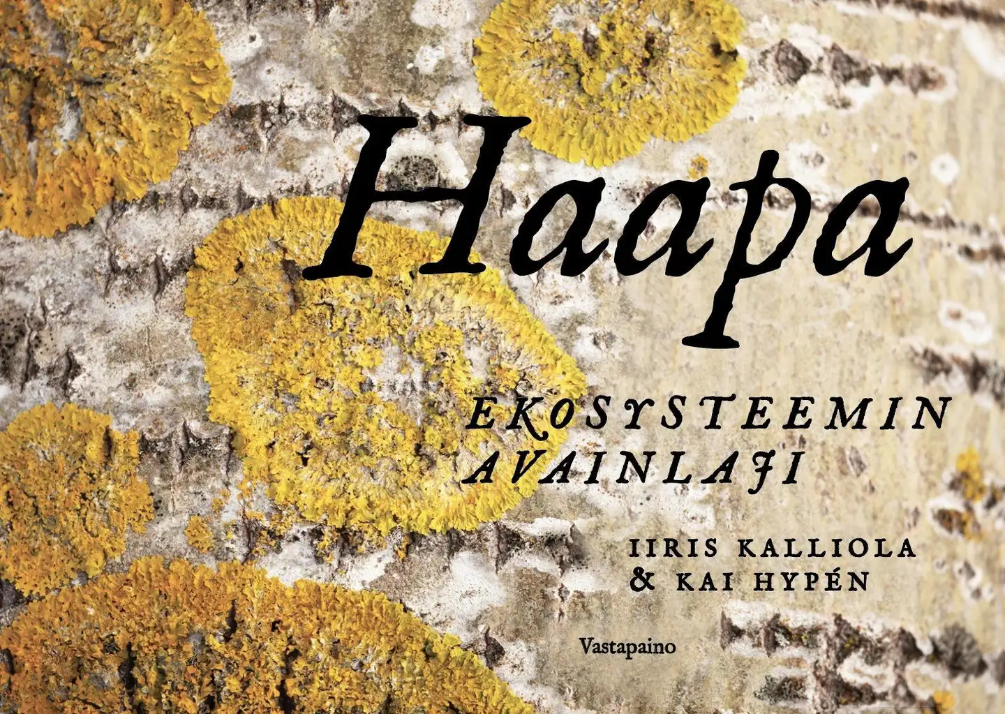 Kalliola, Haapa - Ekosysteemin avainlaji