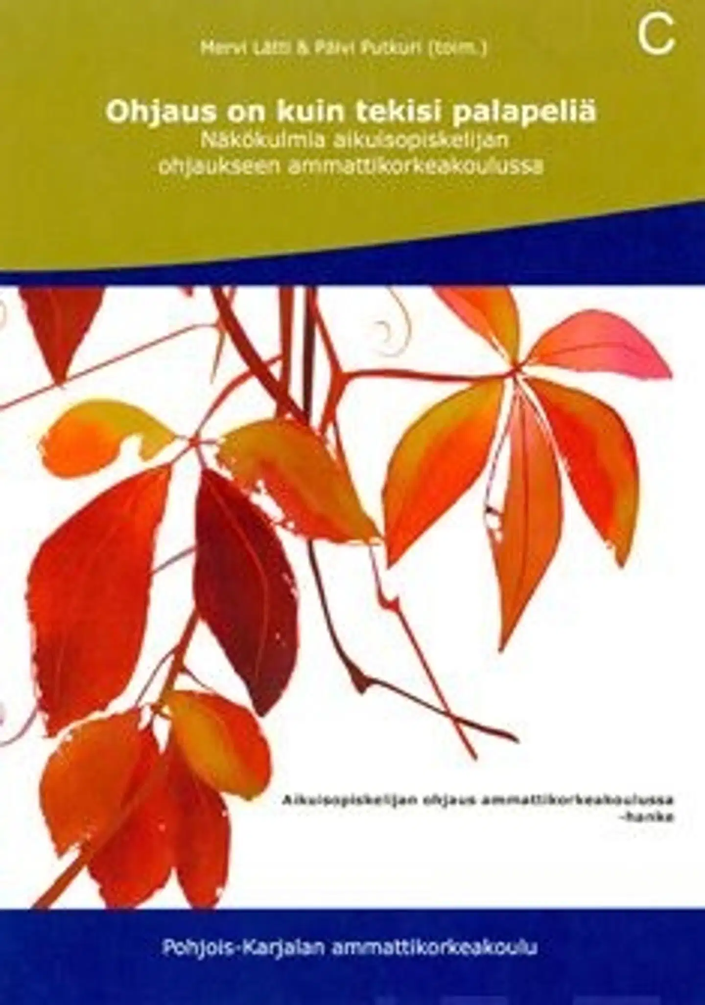 Ohjaus on kuin tekisi palapeliä - näkökulmia aikuisopiskelijan ohjaukseen ammattikorkeakouluissa