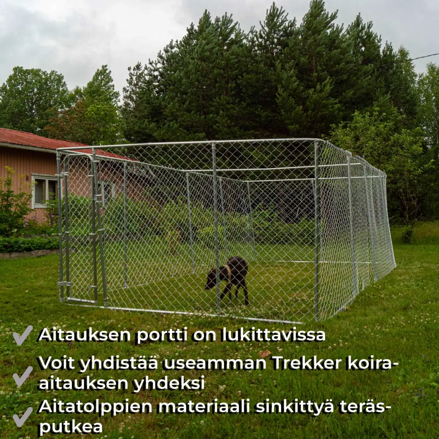 Trekker koira-aitaus 6x3 m harmaa - 2