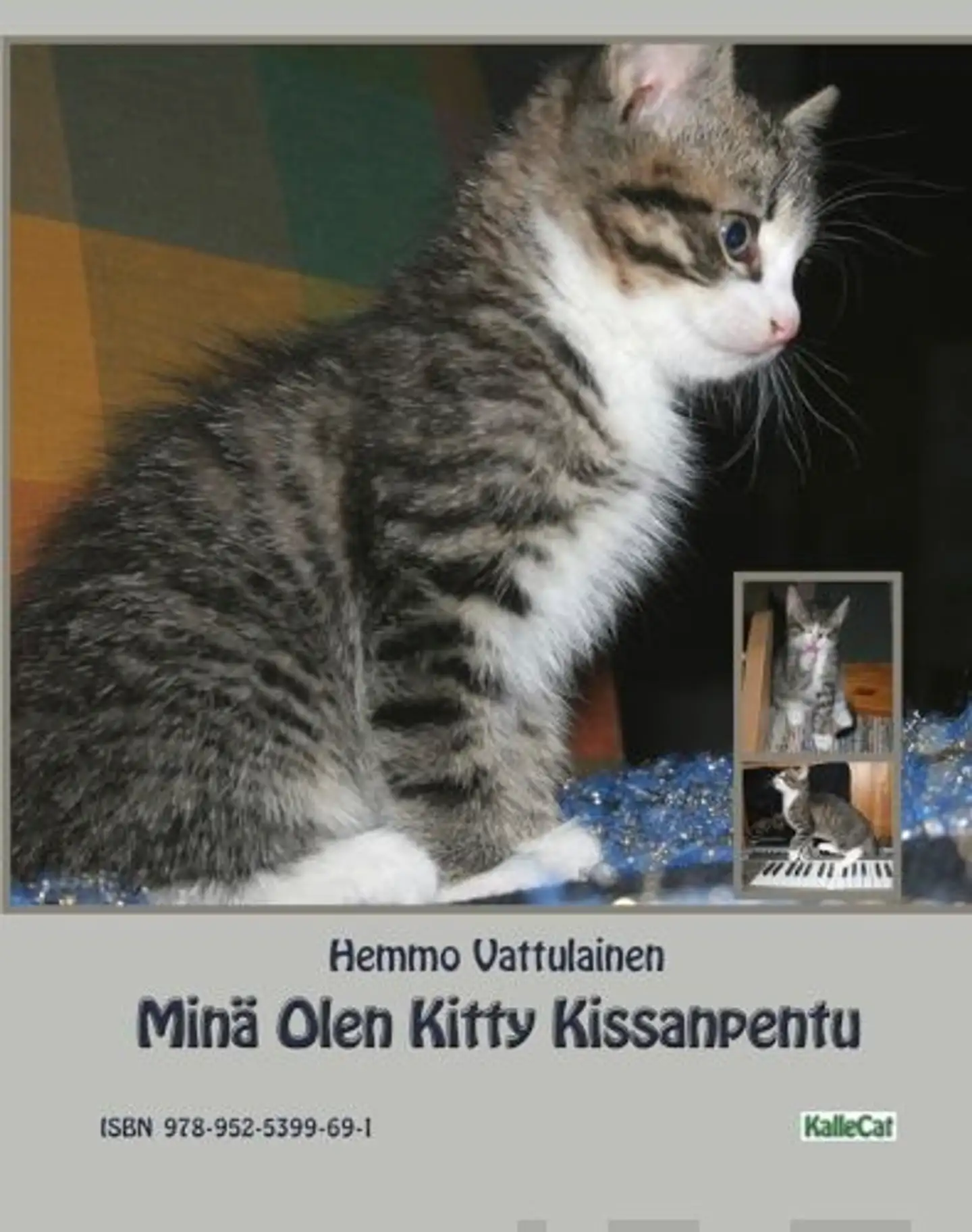 Minä olen Kitty Kissanpentu