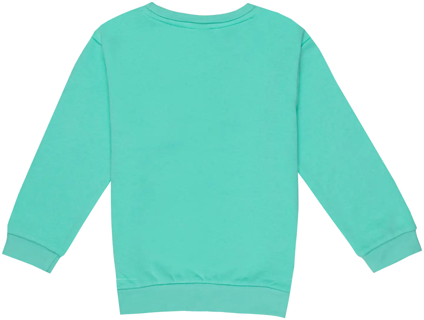 Ciraf lasten collegepusero 25TC260205 - Green - 2