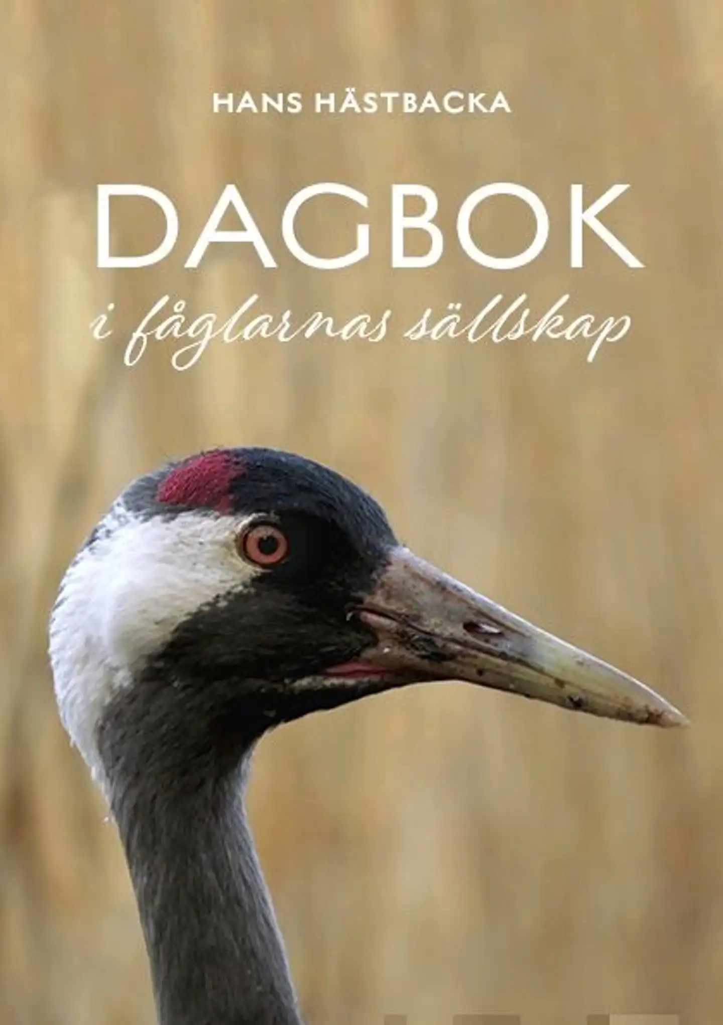 Hästbacka, Dagbok i fåglarnas sällskap