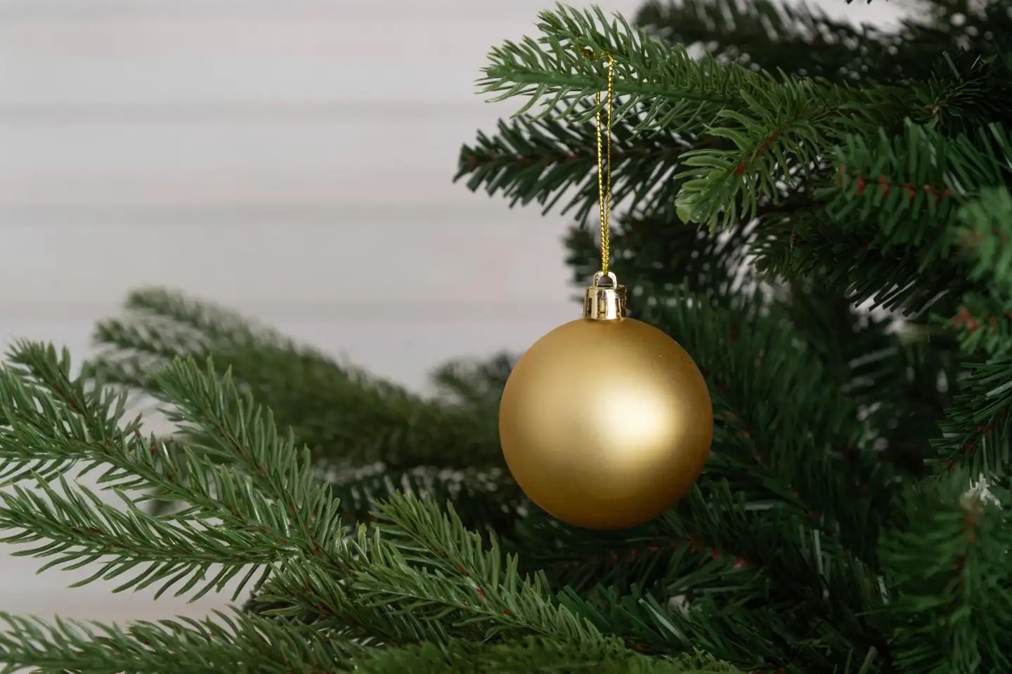 Winteria Joulukuusi Elite 215 cm - 3