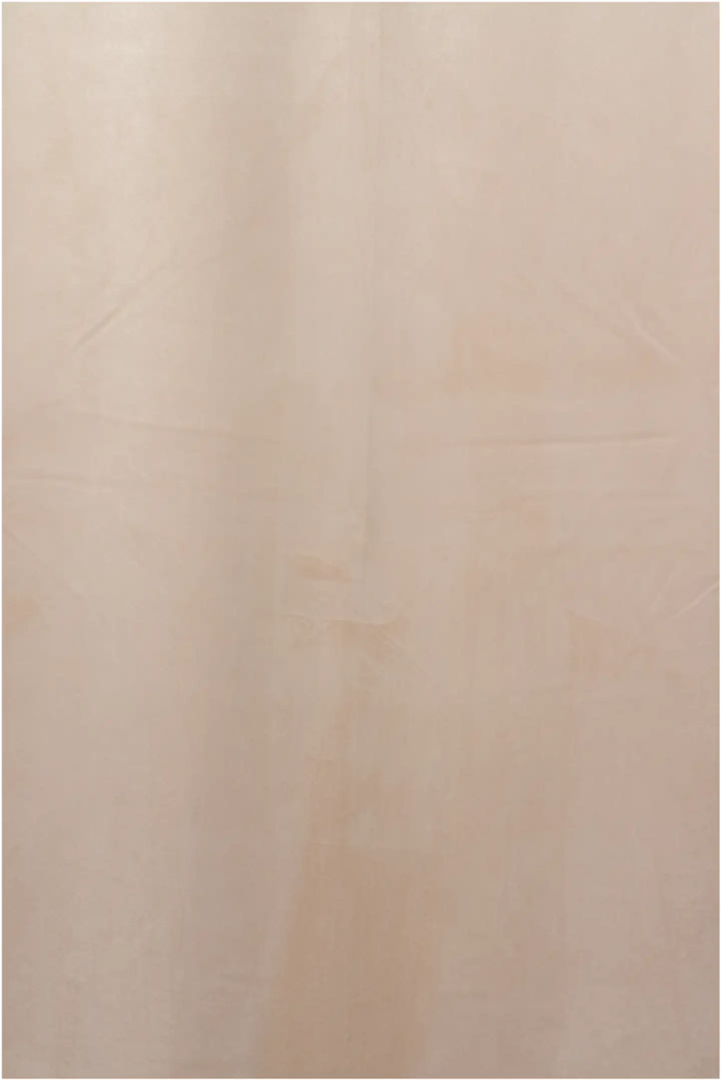House pimennysverho Velvet 140x270 cm beige - 3