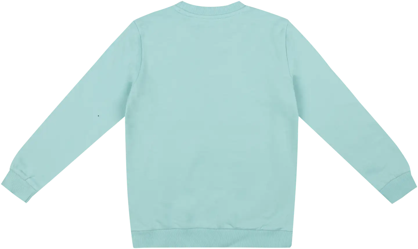 Gabby's Dollhouse lasten collegepaita GDQ70005B - Lt.green - 2