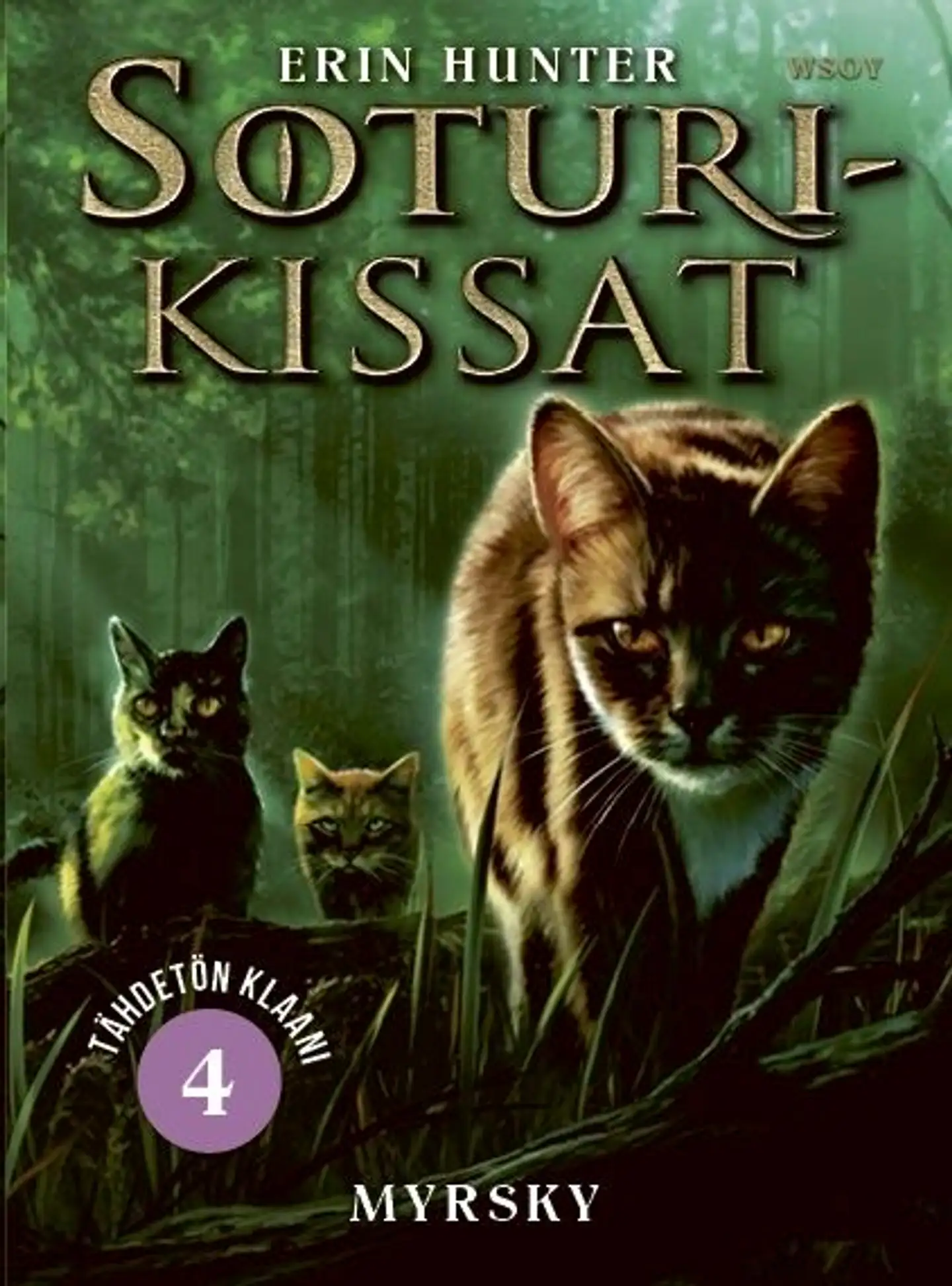 Hunter, Soturikissat: Tähdetön klaani 4: Myrsky