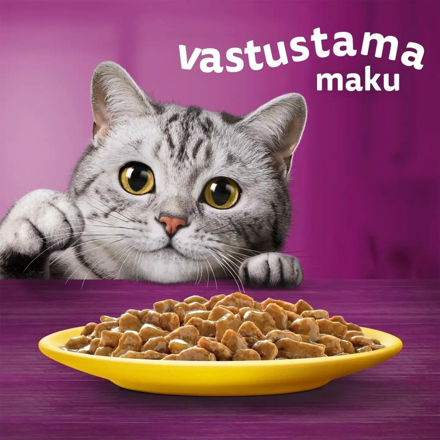 Whiskas 1+ Siipikarjaherkut kastikkeessa (12 x 85 g) - 4