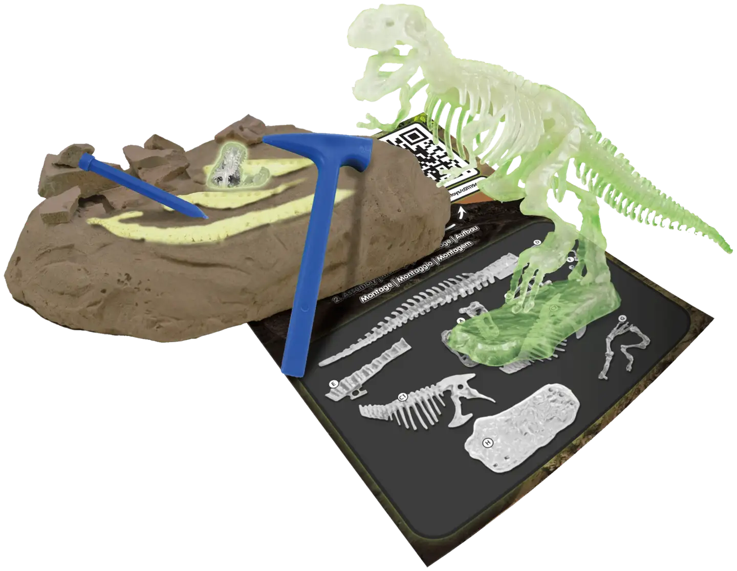 Science4You T-Rex Glow In The Dark - 1