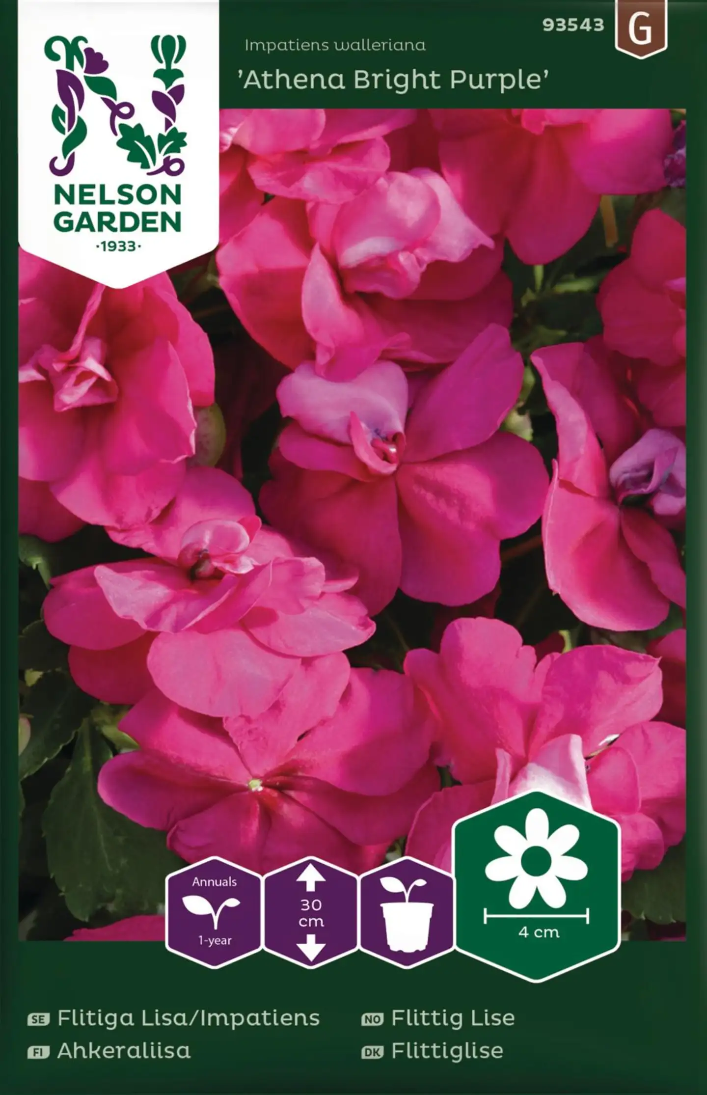 Nelson Garden Ahkeraliisa Athena Bright Pur F1