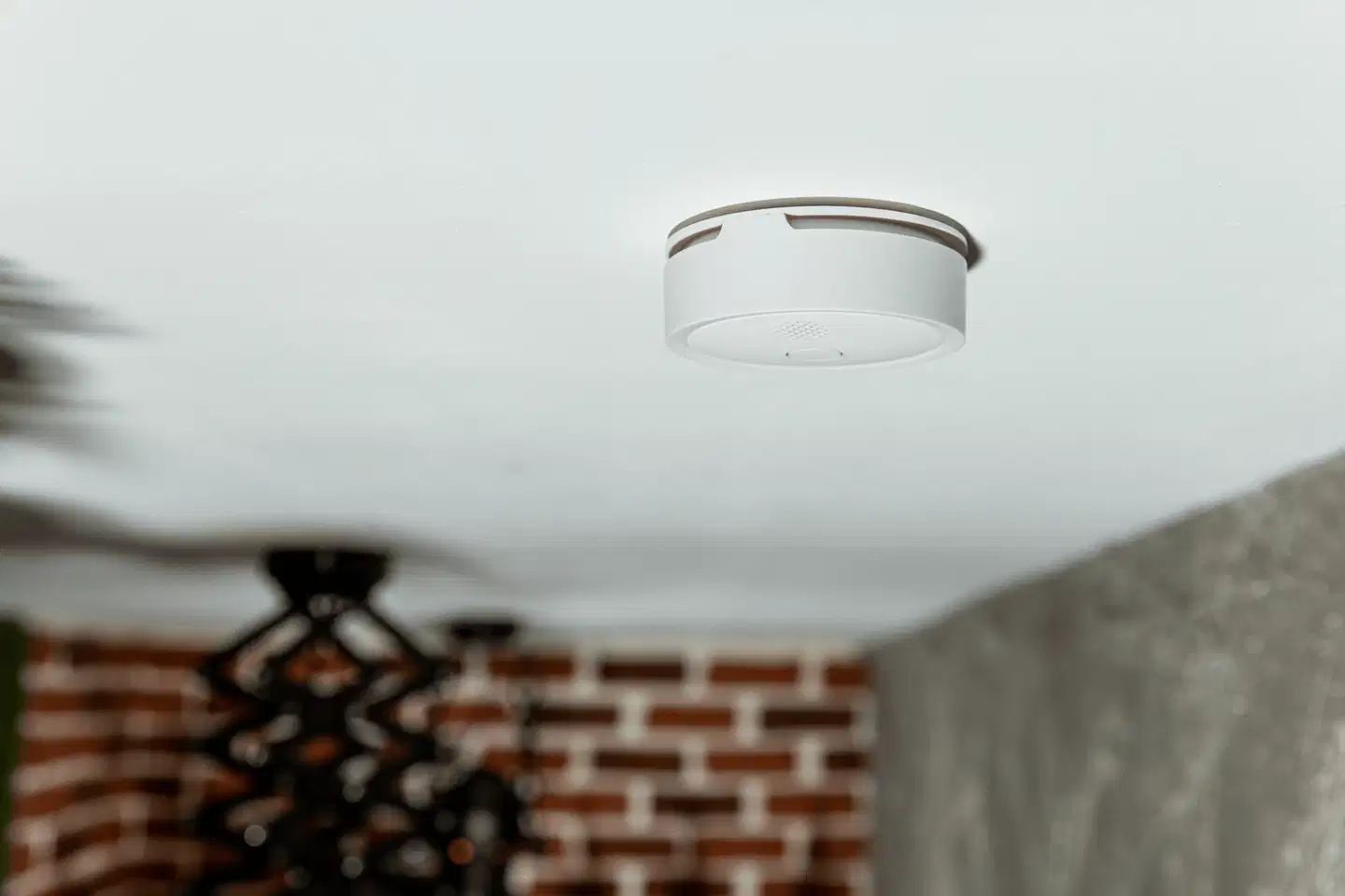 Shelly Plus Palohälytin - 3