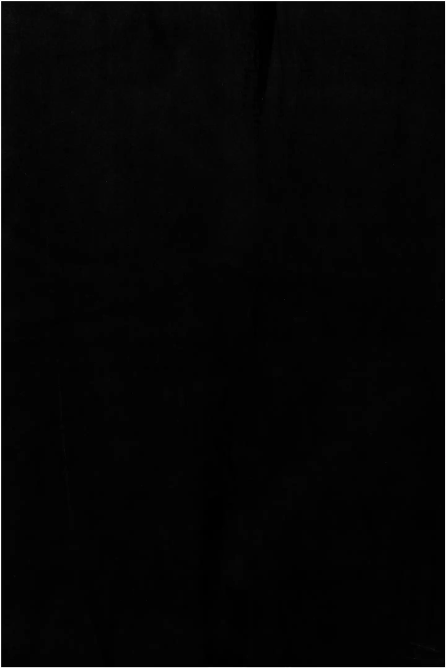 House pimennysverho Velvet 140x270 cm musta - 3