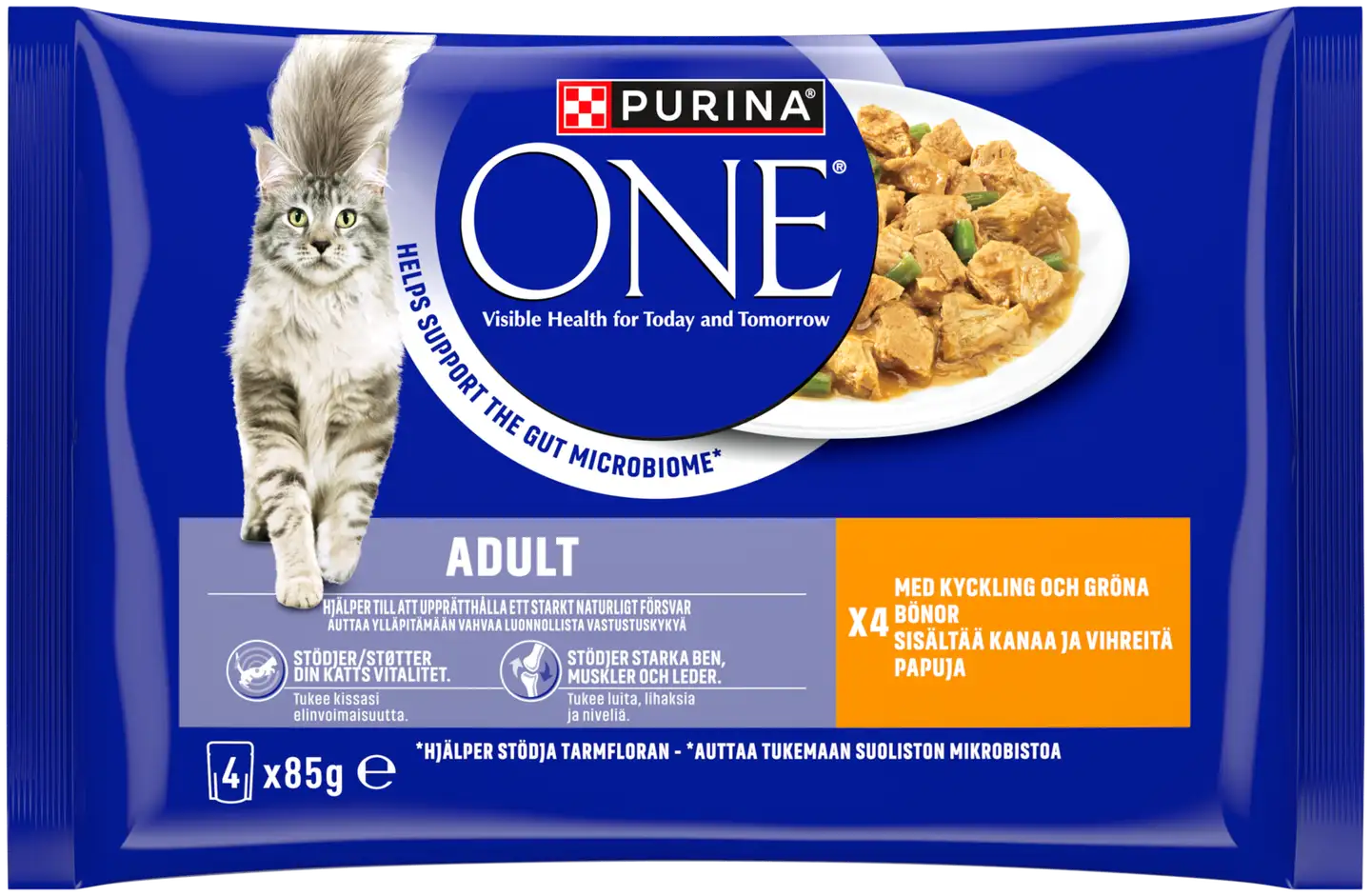 Purina One 4x85g Adult Minifileet kastikkeessa, sis. kanaa ja vihreitä papuja