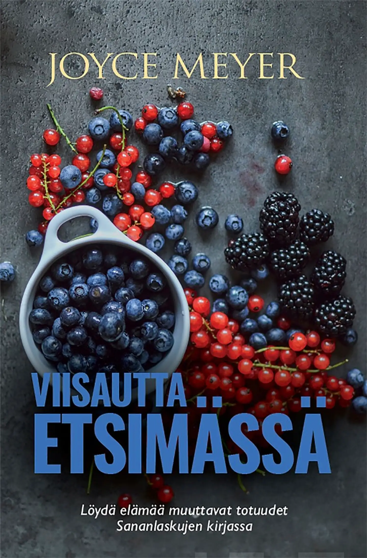 Meyer, Viisautta etsimässä - Löydä elämää muuttavat totuudet Sananlaskujen kirjassa