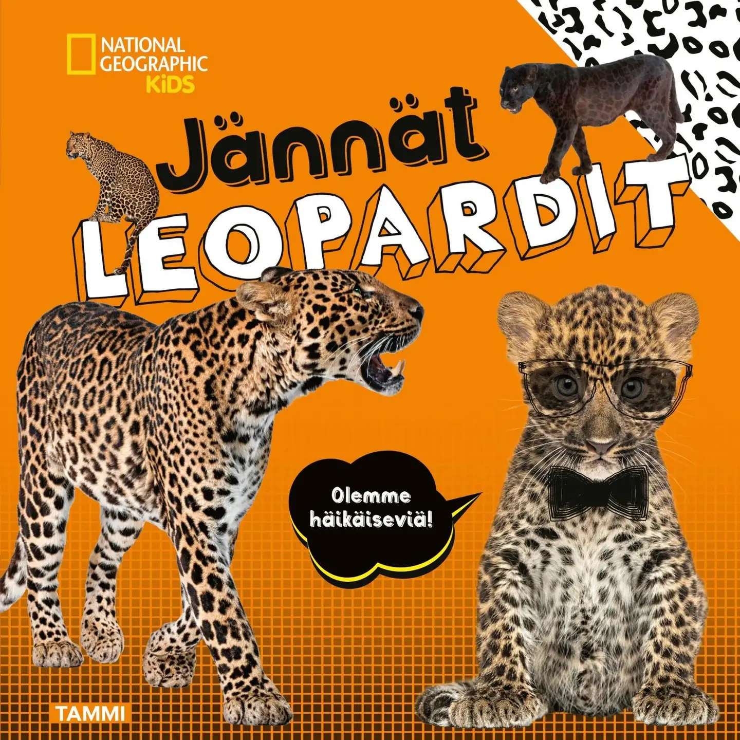 Boyer, National Geographic. Jännät leopardit