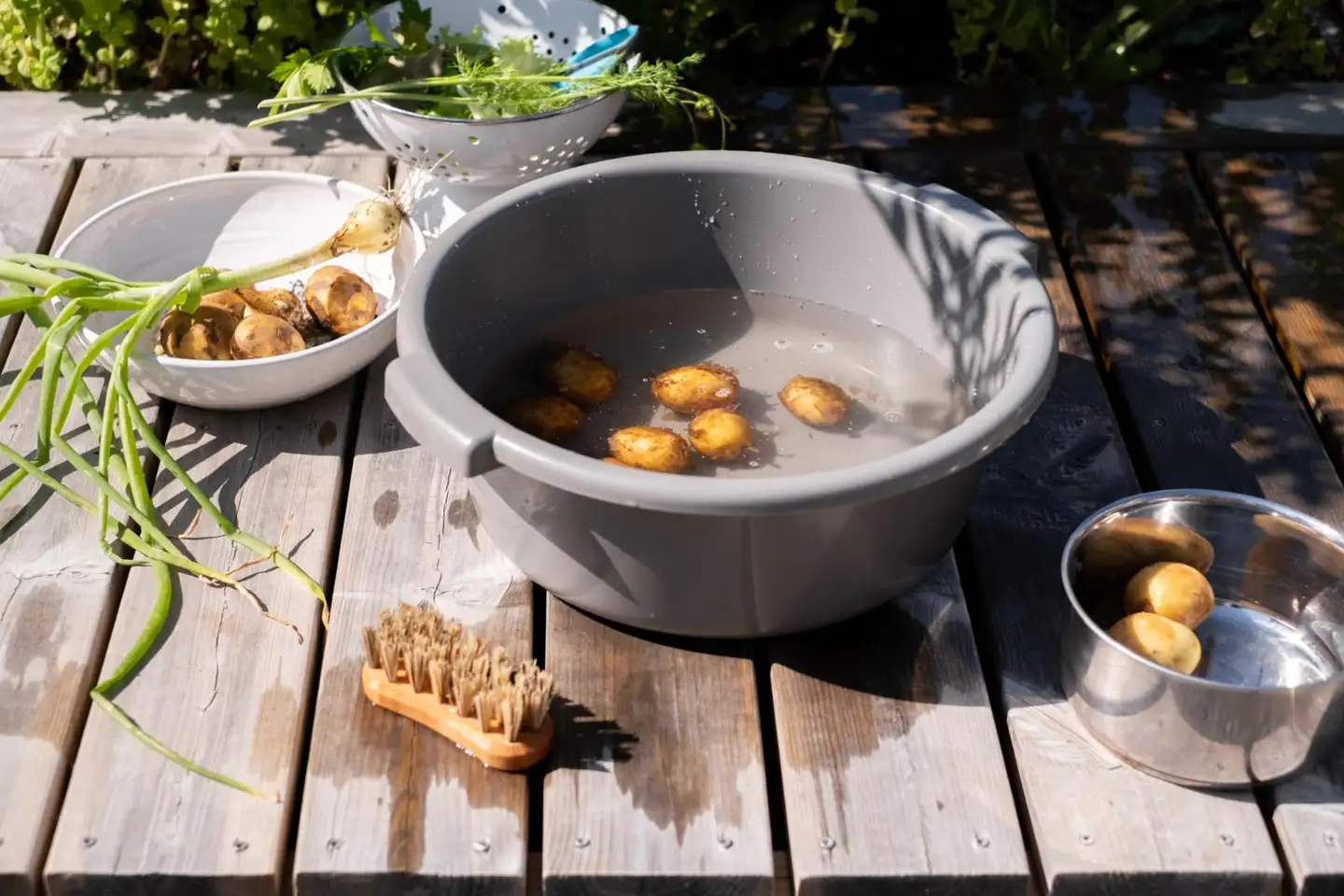 Orthex pesuvati 9 L - 6