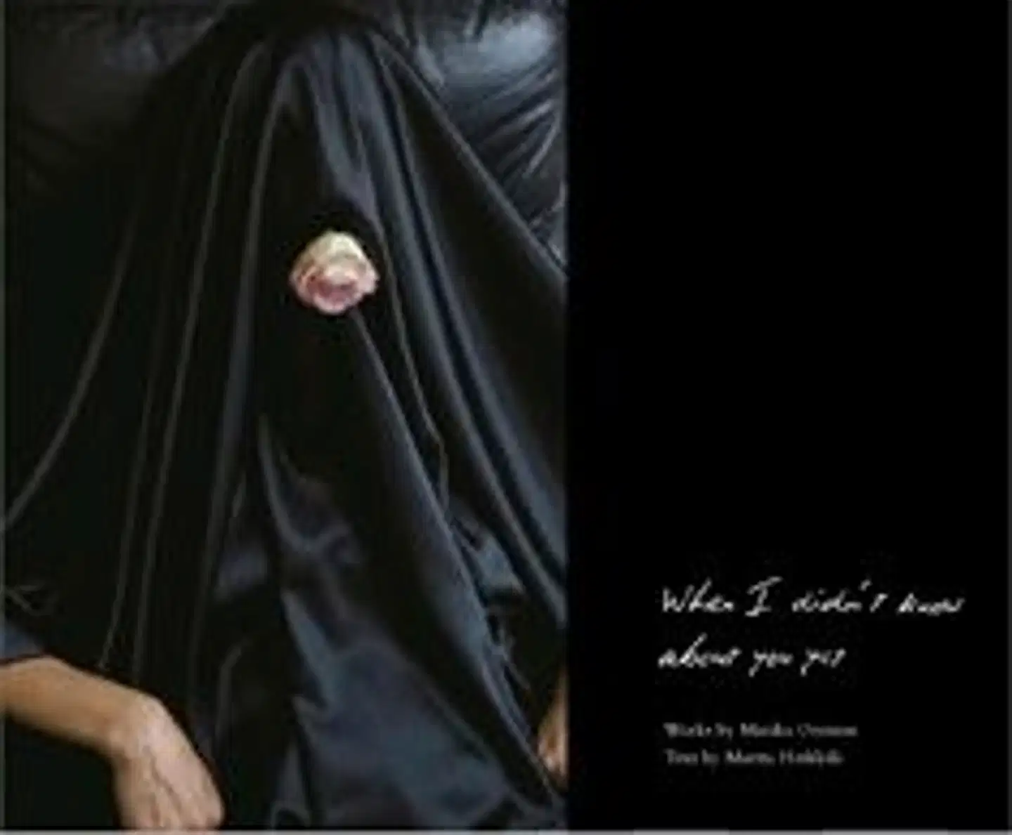 Orenius, When I didn't know about you yet - visions of power and body in Marika Orenius's works