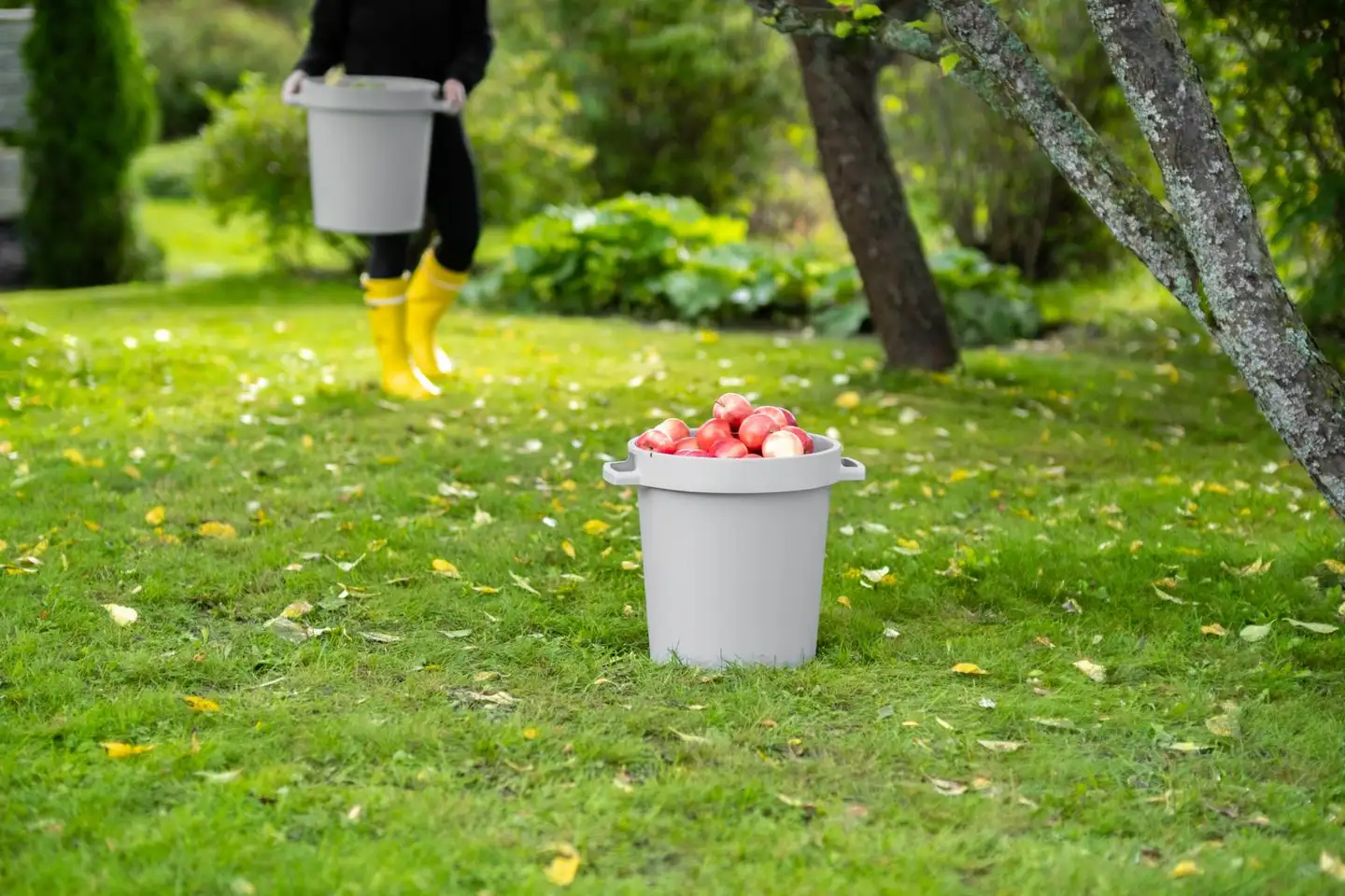 Orthex saavi 30 L - 7