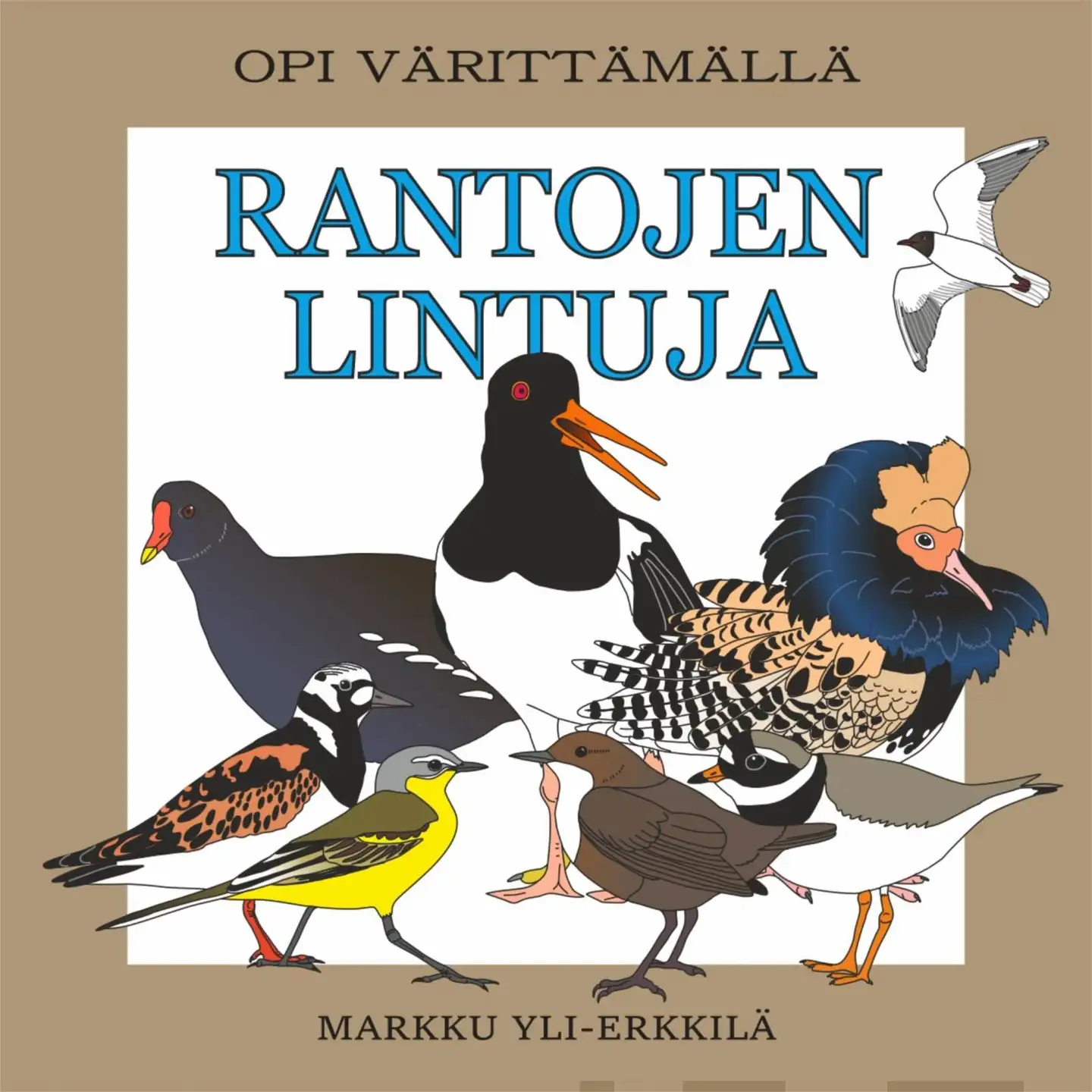 Rantojen lintuja - Opi värittämällä