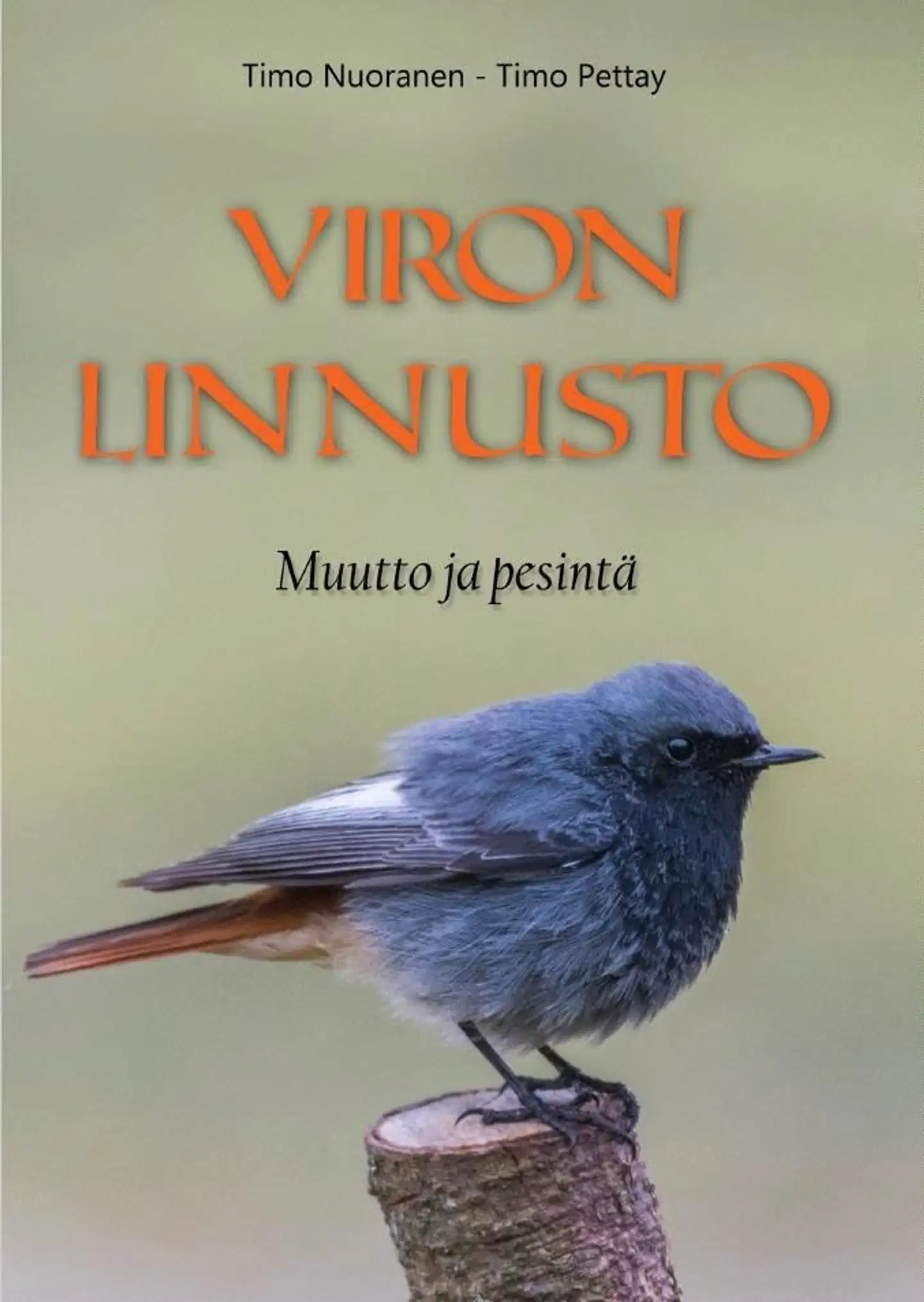 Nuoranen, Viron linnusto - Muutto ja pesintä