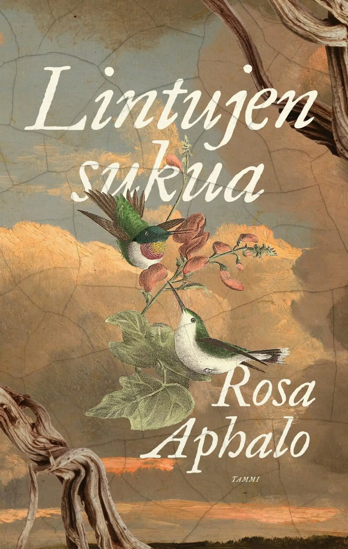 Aphalo, Lintujen sukua