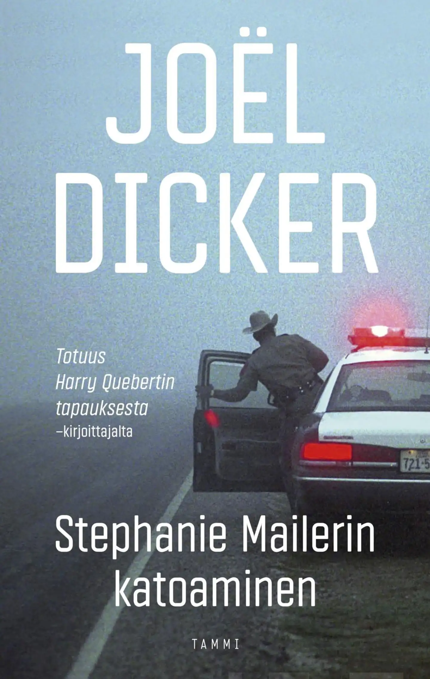 Dicker, Stephanie Mailerin katoaminen