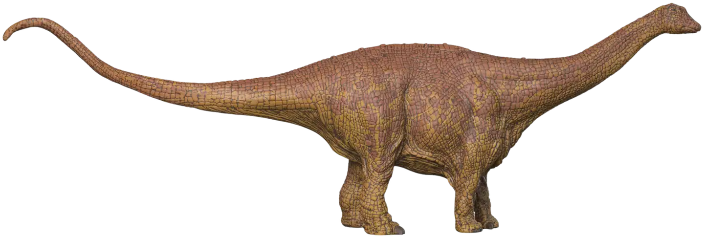 Schleich Brontosaurus - 5
