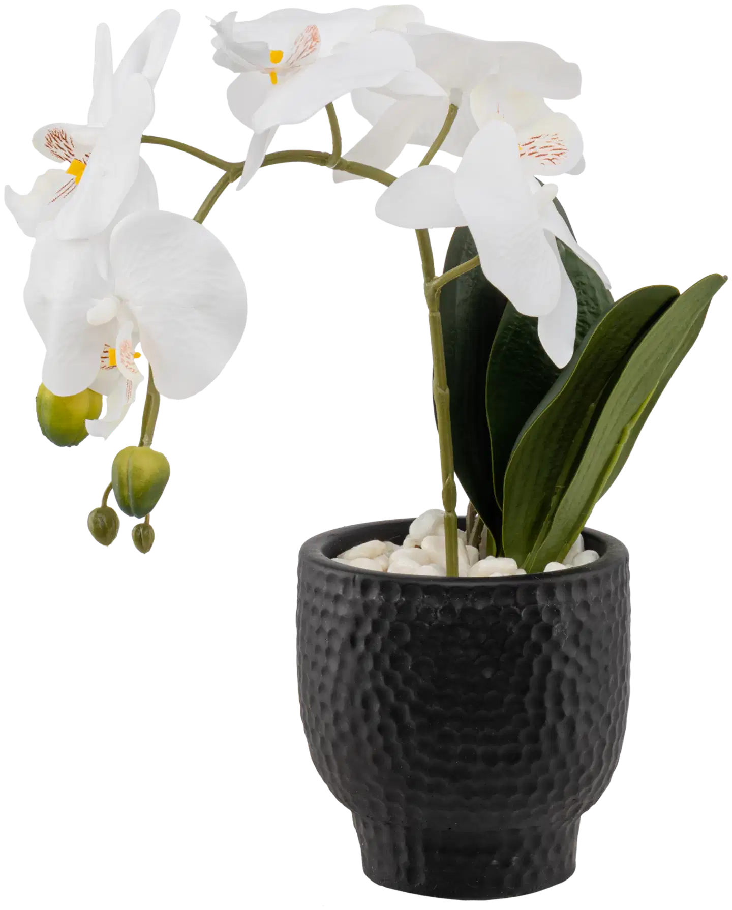 Tekokasvi orkidea ruukussa