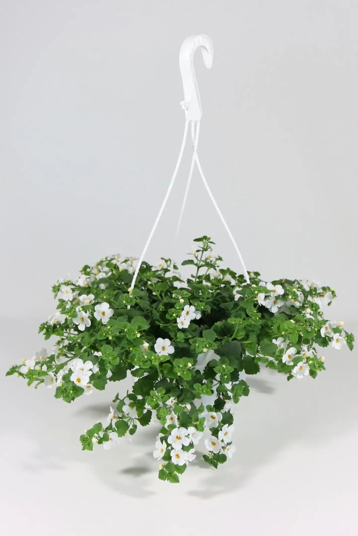 Lumihiutaleamppeli 23 cm - 1