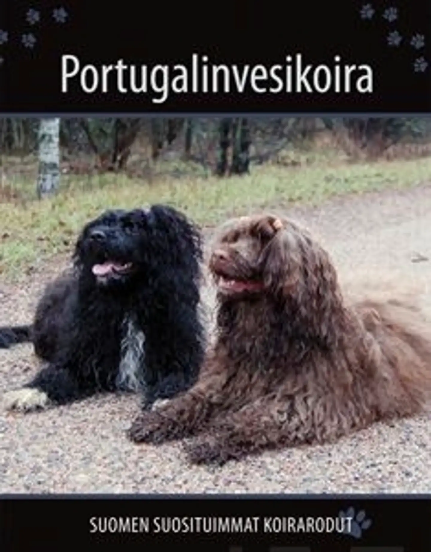 Portugalinvesikoira