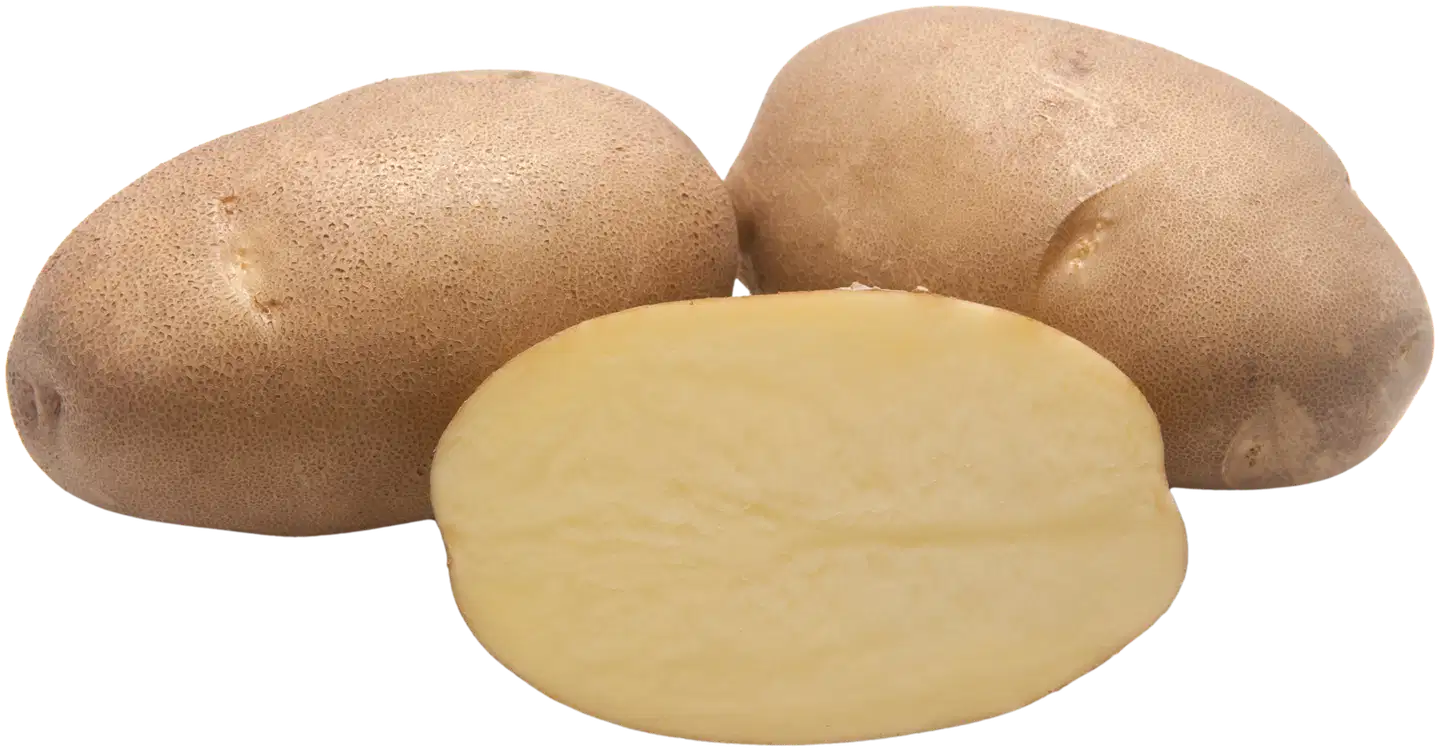 Siemenperuna Innovator 2,5 kg