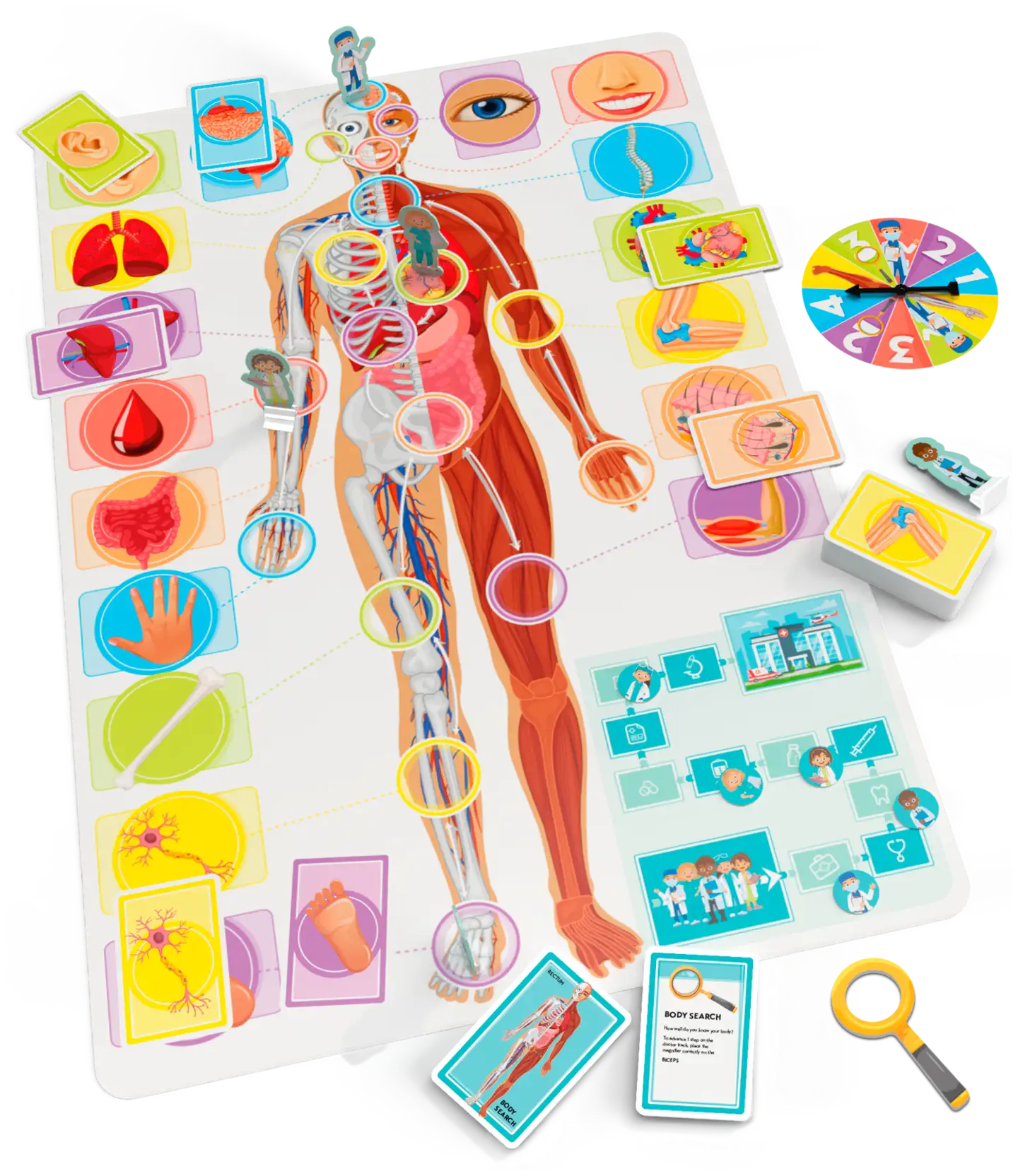 Tactic lautapeli Let's learn Our Amazing Body englanninkielinen - 2