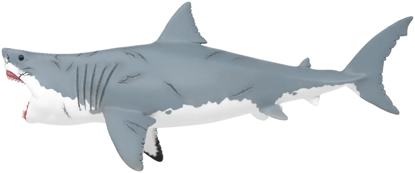 Schleich Megalodon - 4
