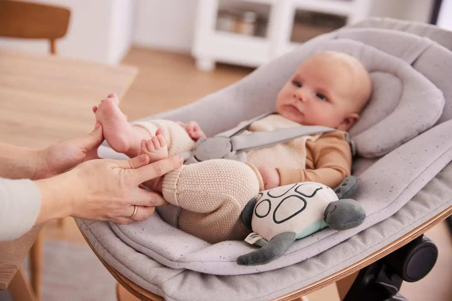 Hauck sitteri Highchair Bouncer Eco - 37