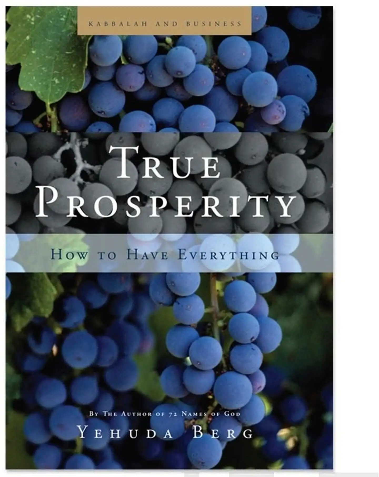 Berg, True Prosperity - How to Have Everything