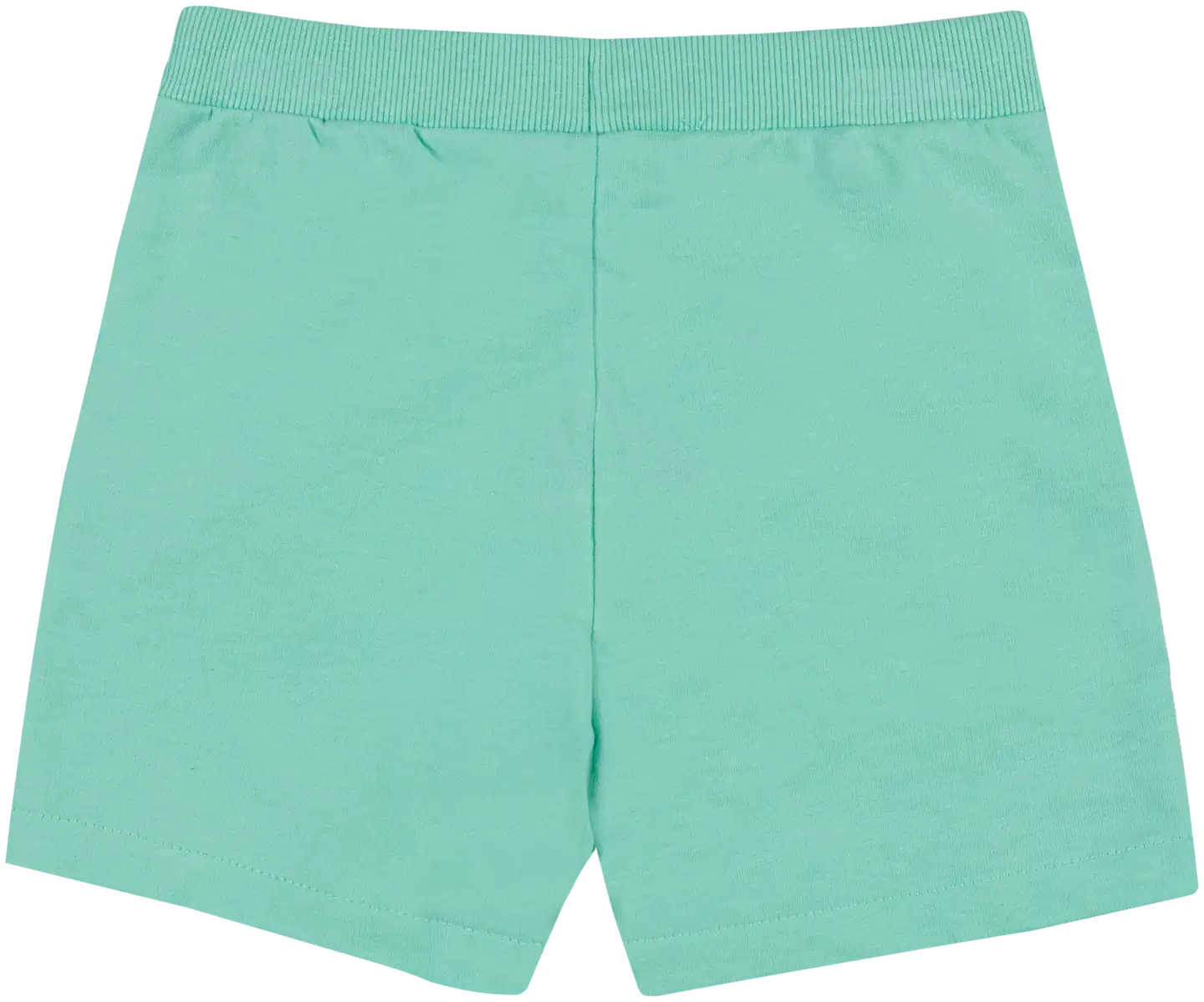 Ciraf lasten shortsit 25TC261607 - Cabagge 13-5714 Tcx - 2