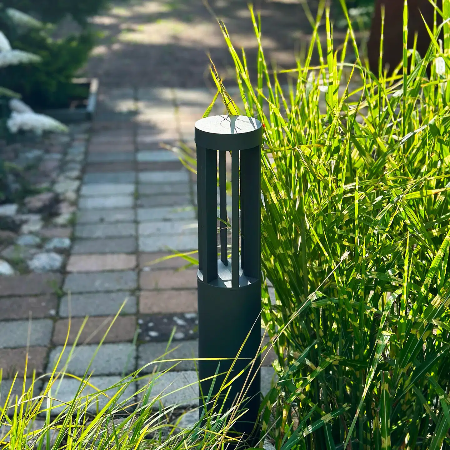 LightsOn pollari Helix - 6