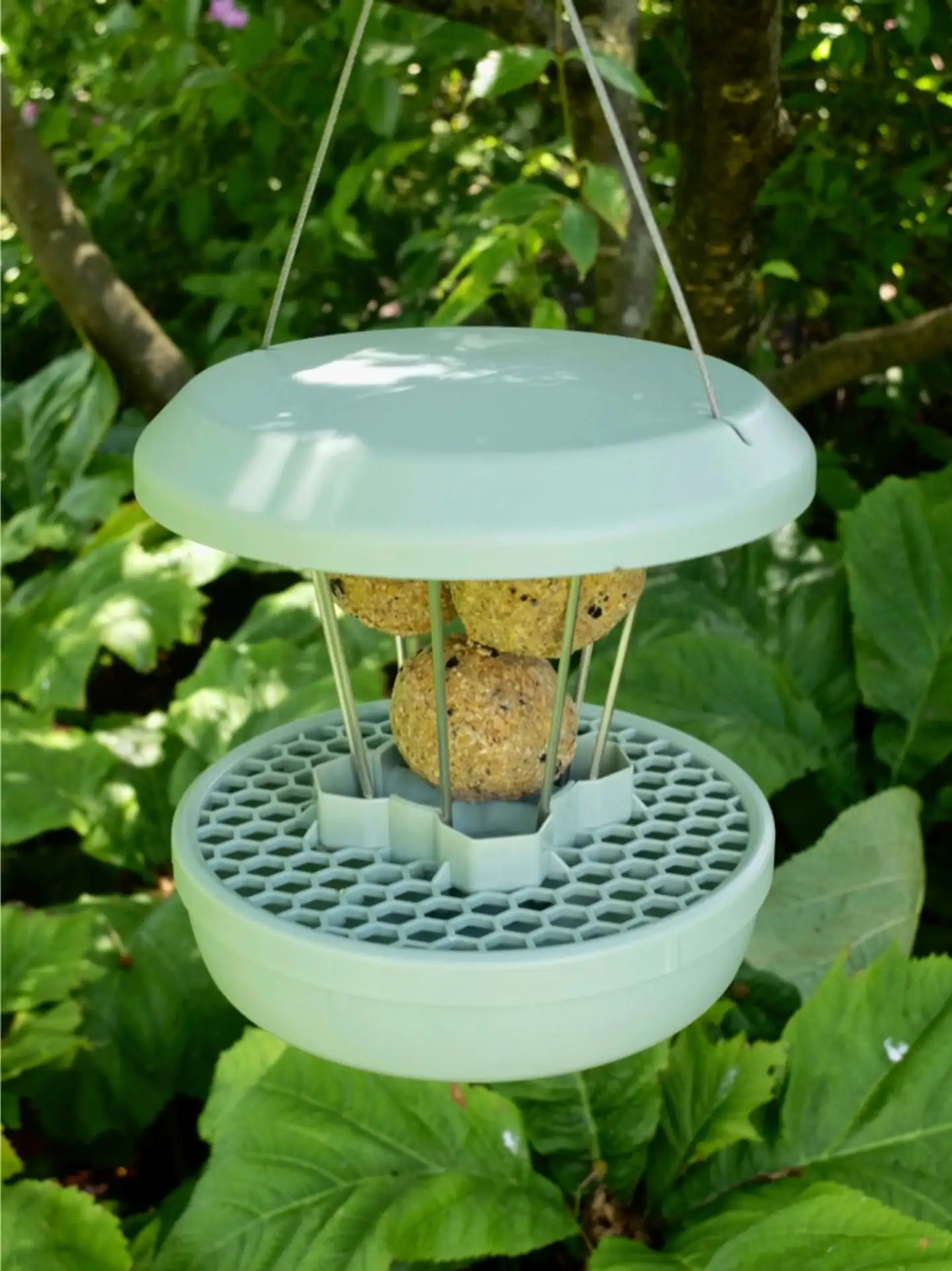 Swissinno Lintulauta Zurich talipalloille - 7