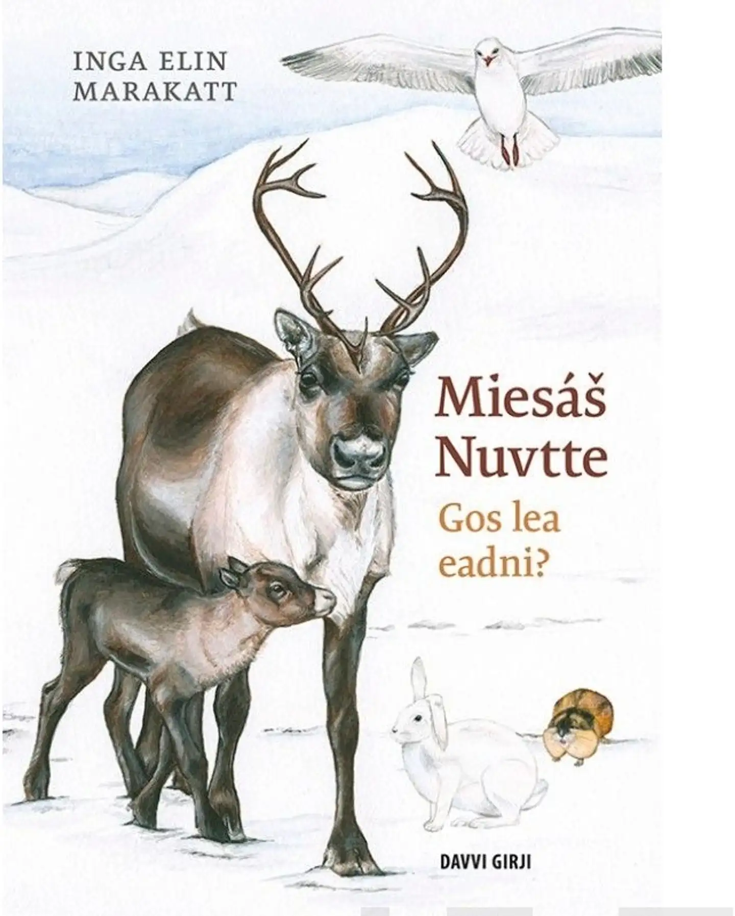 Elin, Miesáš Nuvtte – Gos lea eadni?