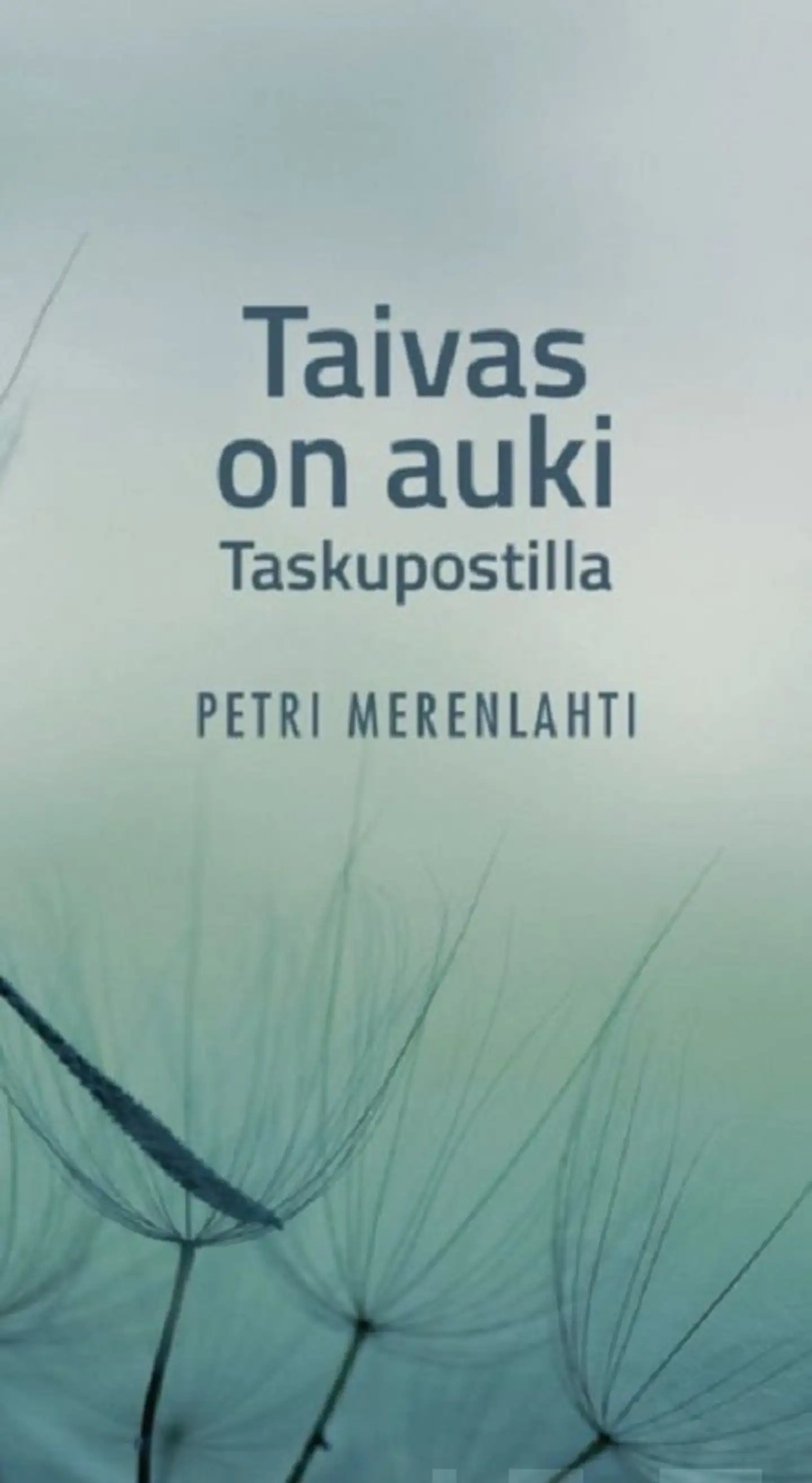 Merenlahti, Taivas on auki - Taskupostilla