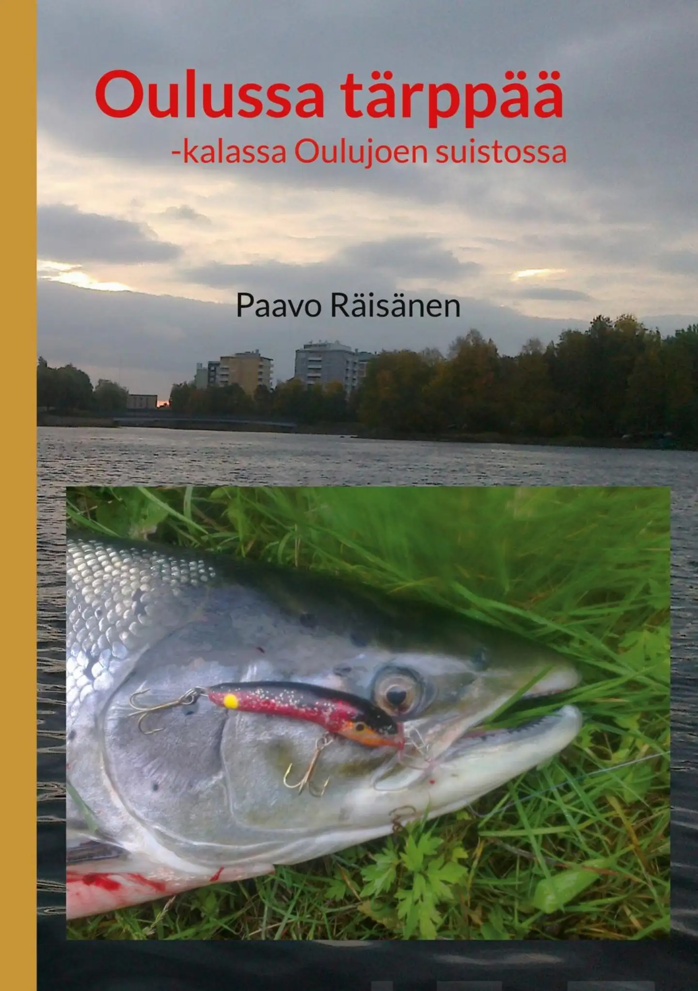 Räisänen, Oulussa tärppää - -kalassa Oulujoen suistossa
