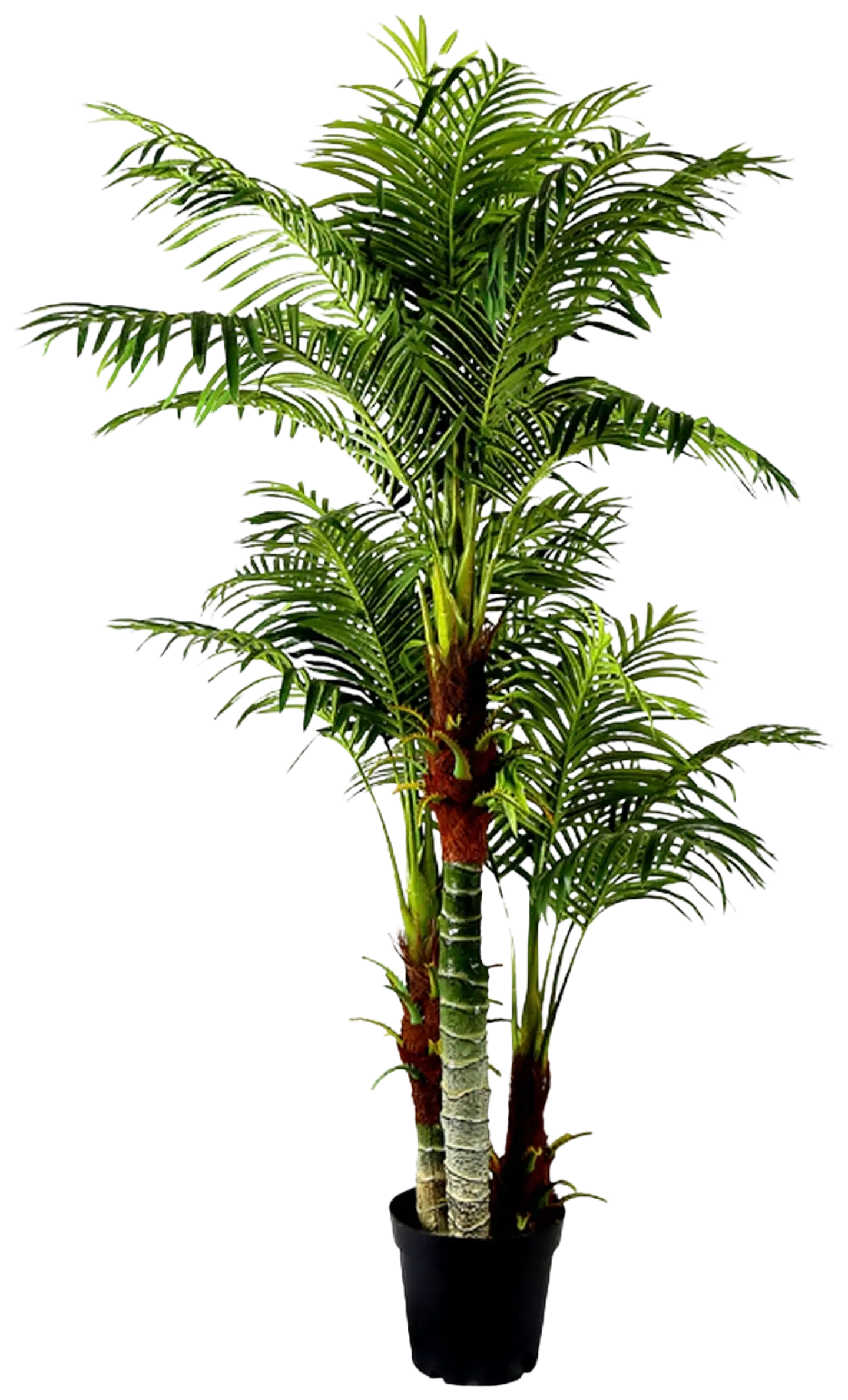 Lykke tekokasvi areca palm 180cm - 1