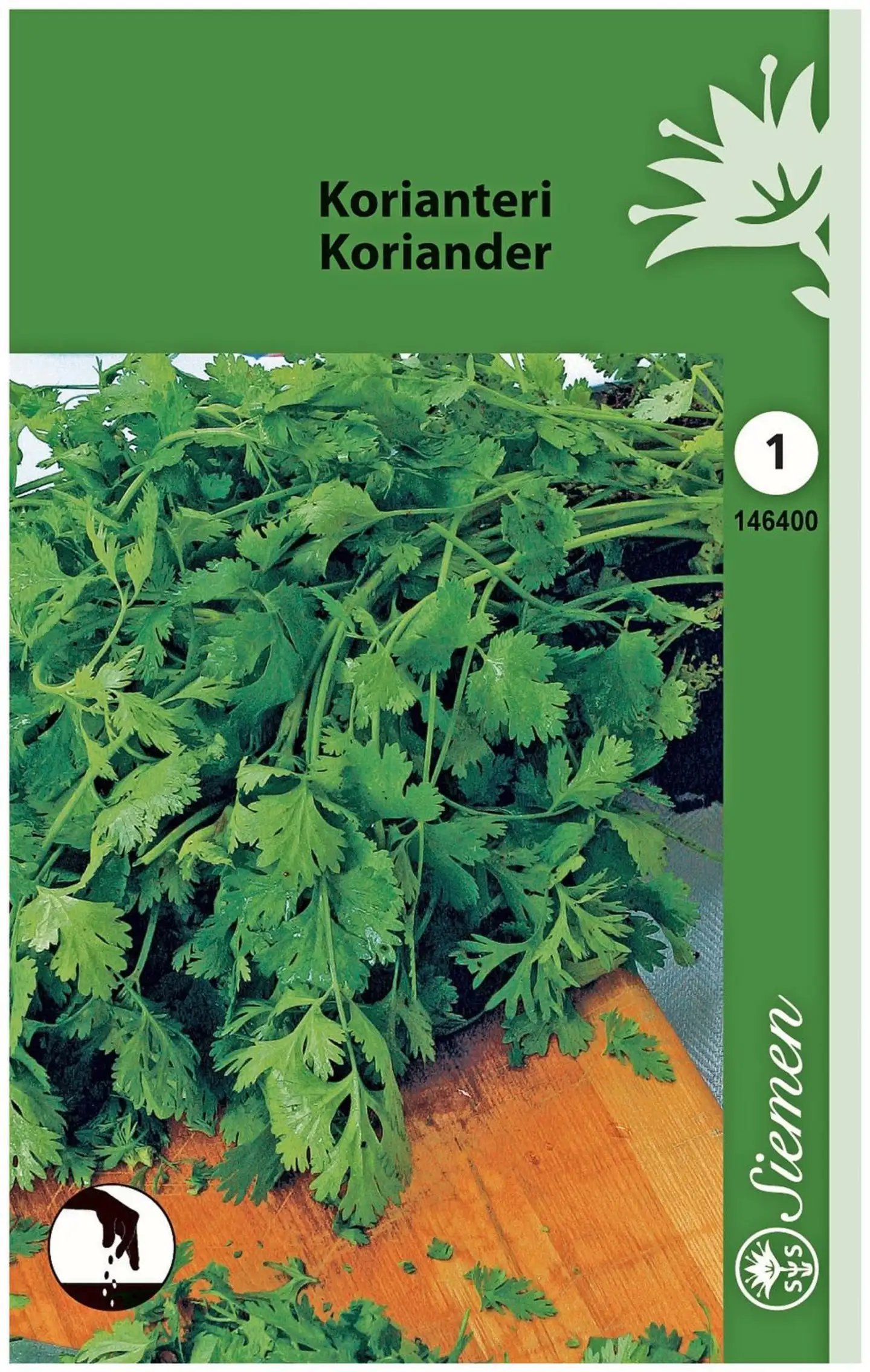 Korianteri (Coriandrum) 1-V