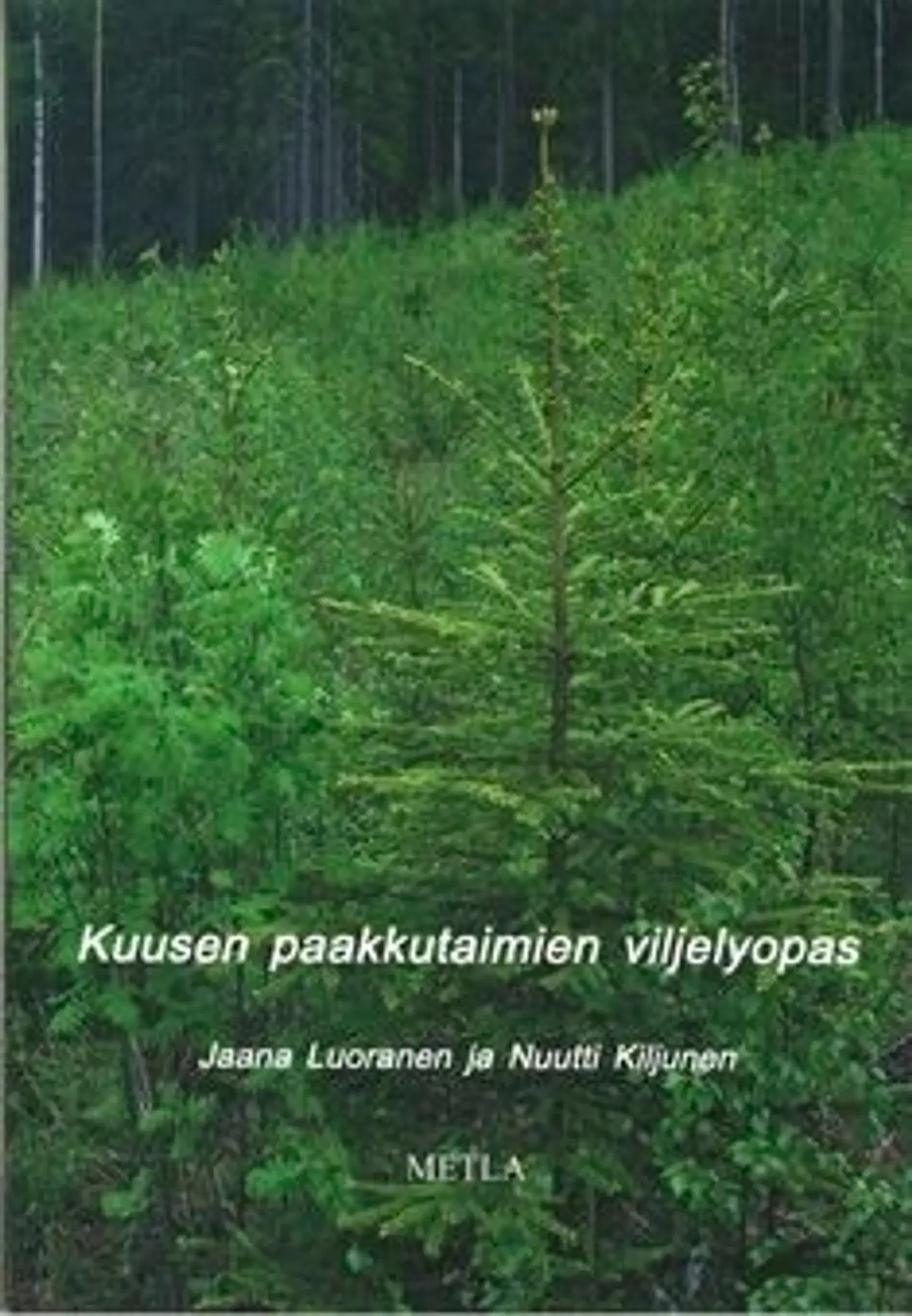Luoranen, Kuusen paakkutaimien viljelyopas