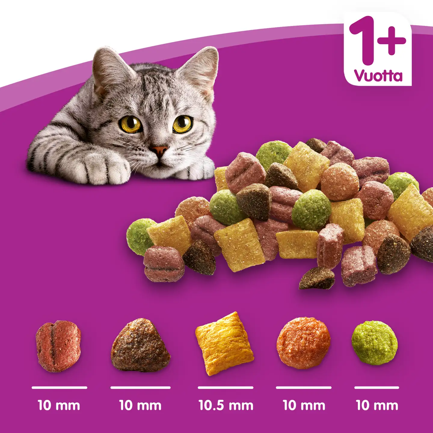 Whiskas 1+ Kanaa 800g - 2