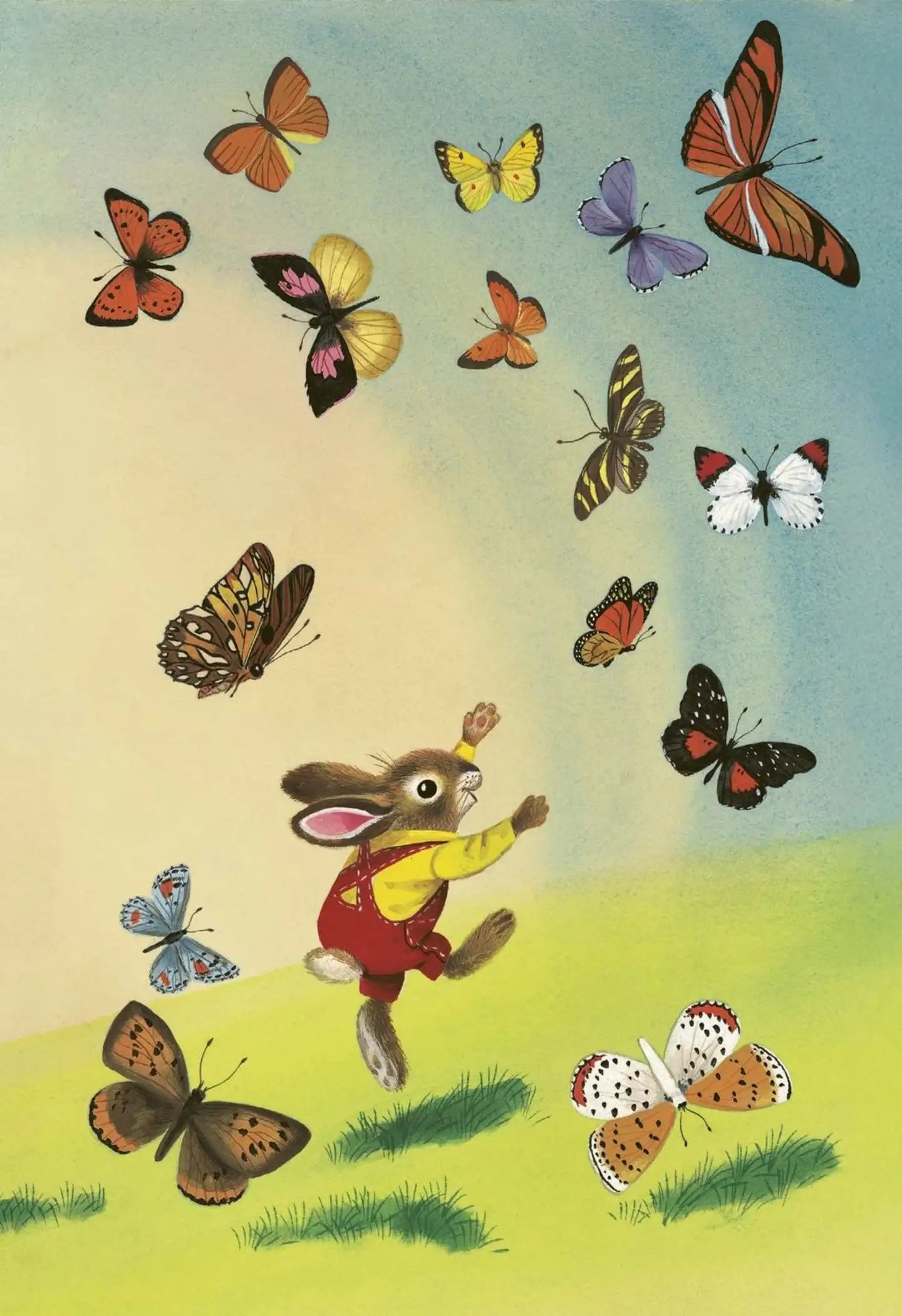 Minä olen Pupu. Muistikirja