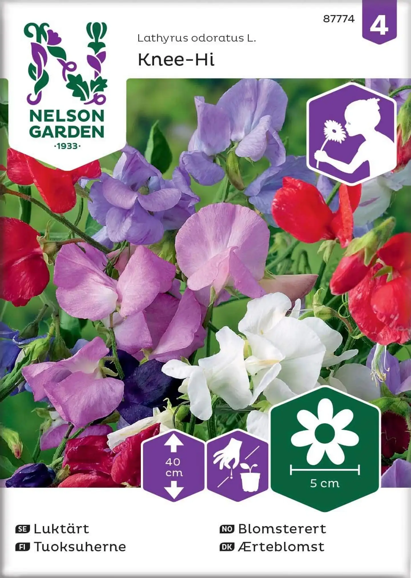 Nelson Garden Siemen Tuoksuherne, Knee-Hi, seos